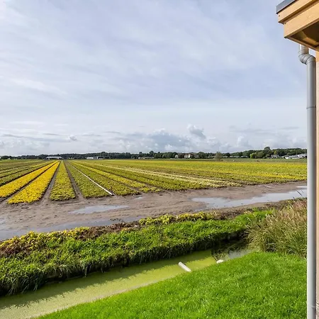 Daire Holiday Strand